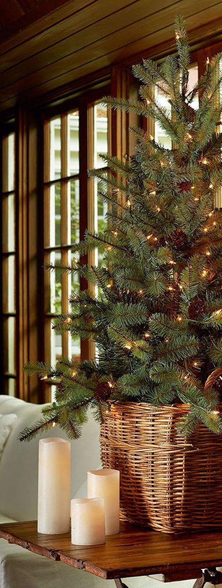 .For kitchen ornaments. The basket would keep the small tree from tipping over.