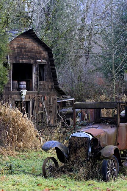 Forgotten? Derelict Machinery / I like this photograph. There is a mellowness to it. Times gone by.