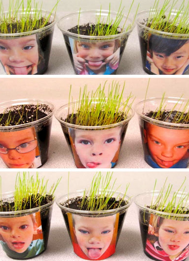 Growing Hair! Too funny!- What a fun project! Loved it when my child brought this home from school! We kept it for months!!