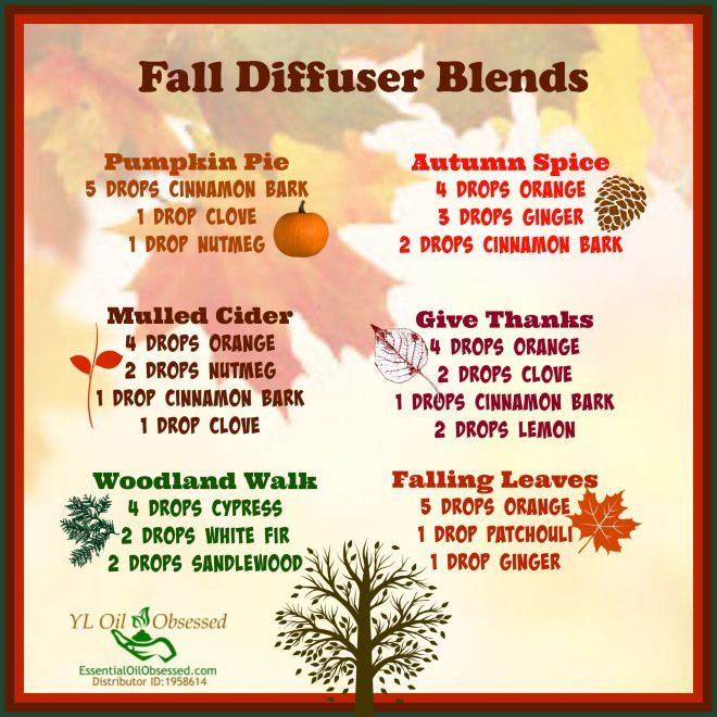 Holiday Cheer with a Diffuser | EssentialOilObses….  Fall diffuser blends