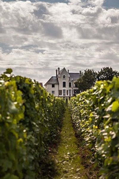 Less than a two-hour drive from Paris lies the near-mythical French region of Champagne, a bucket-list destination for wine