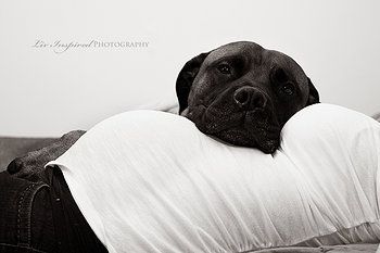 Maternity photography with dog. I really think this is sweet