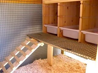 Pull-out next boxes – easy to dump and spray clean with the hose.