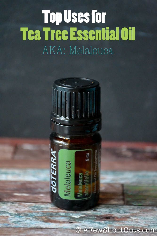 Top uses for Tea Tree Essential Oil