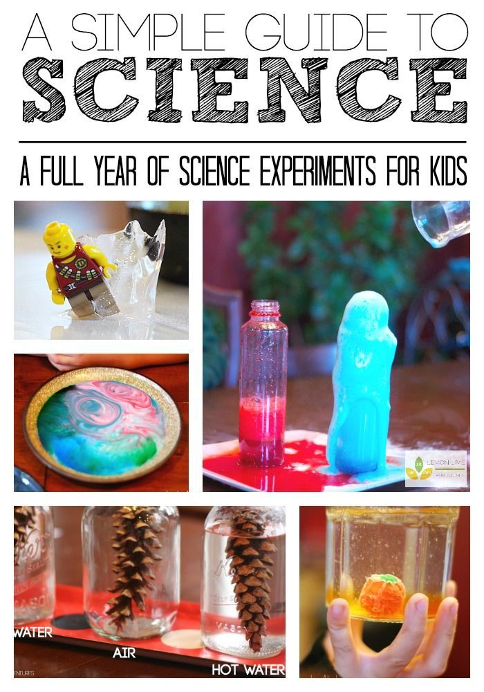 Simple Science Guide for a Year of Science Experiments for Kids | Love this resource for Kindergarten through primary grades! So
