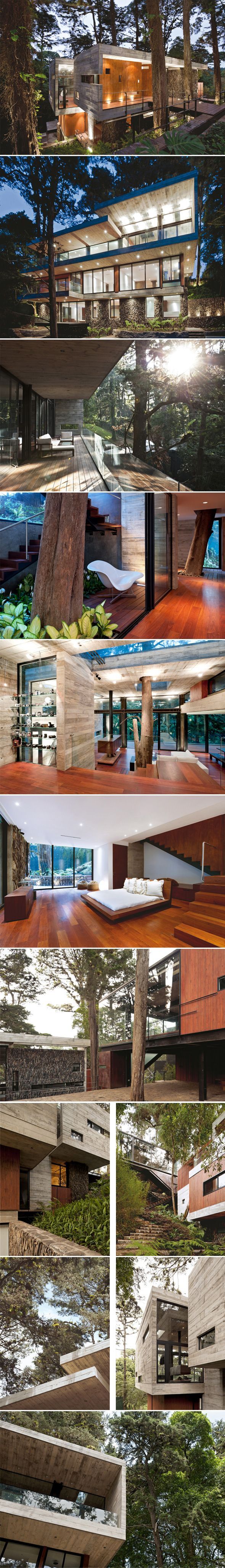 Superbe-maison-dans-les-arbres-par-Paz-Arquitectura-2