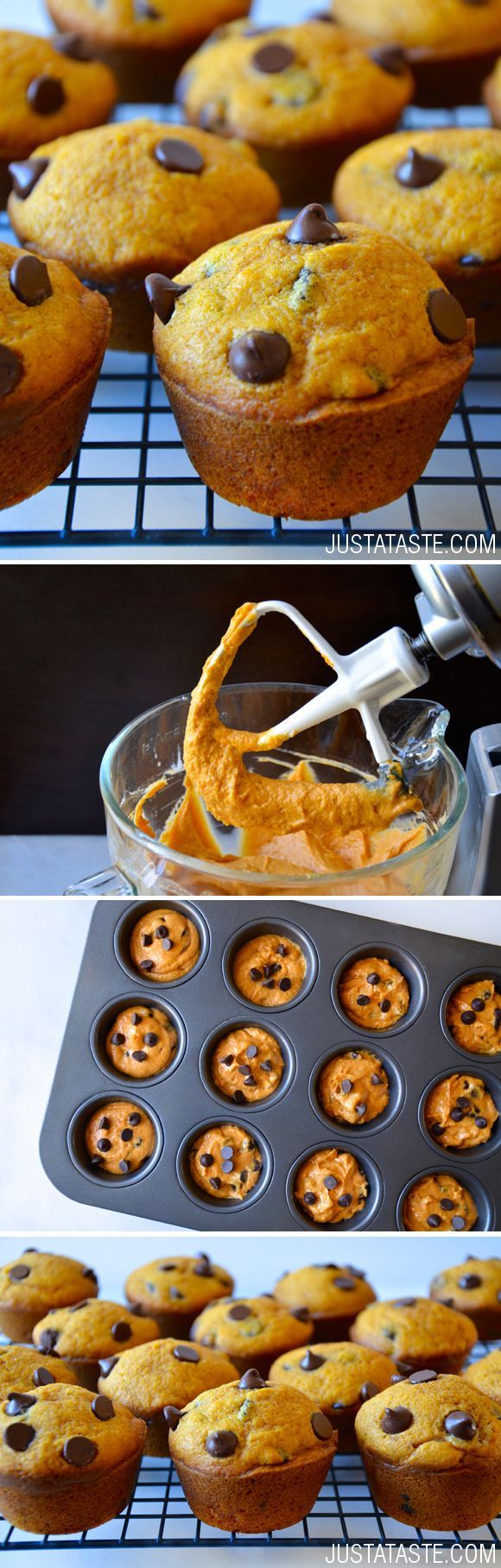 The Best Pumpkin Chocolate Chip Muffins #recipe