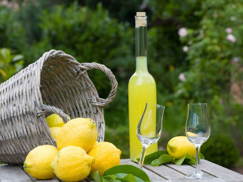 Limoncello -   Refreshing cocktails and mixed drinks