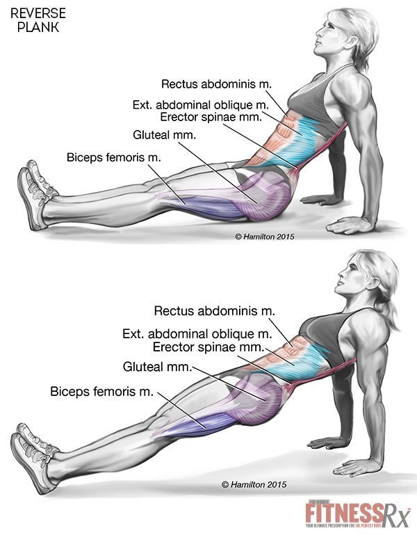 Tighten Your Core and Lower Body With Reverse Planks