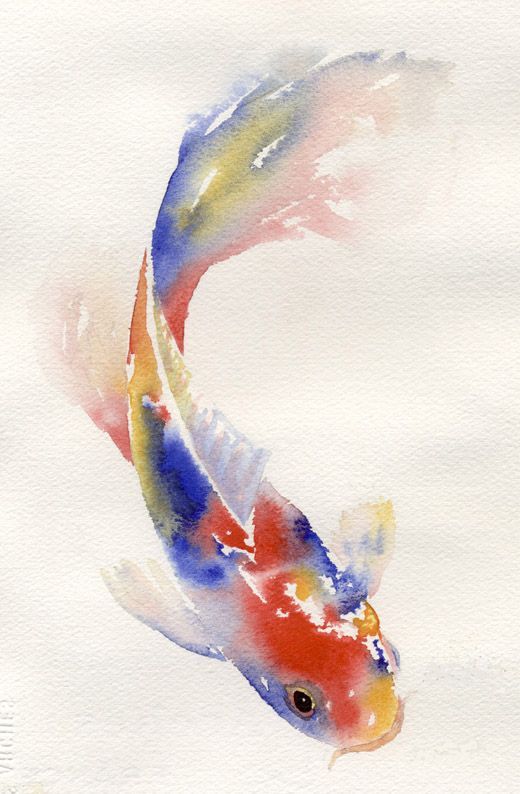 beautiful fish watercolor