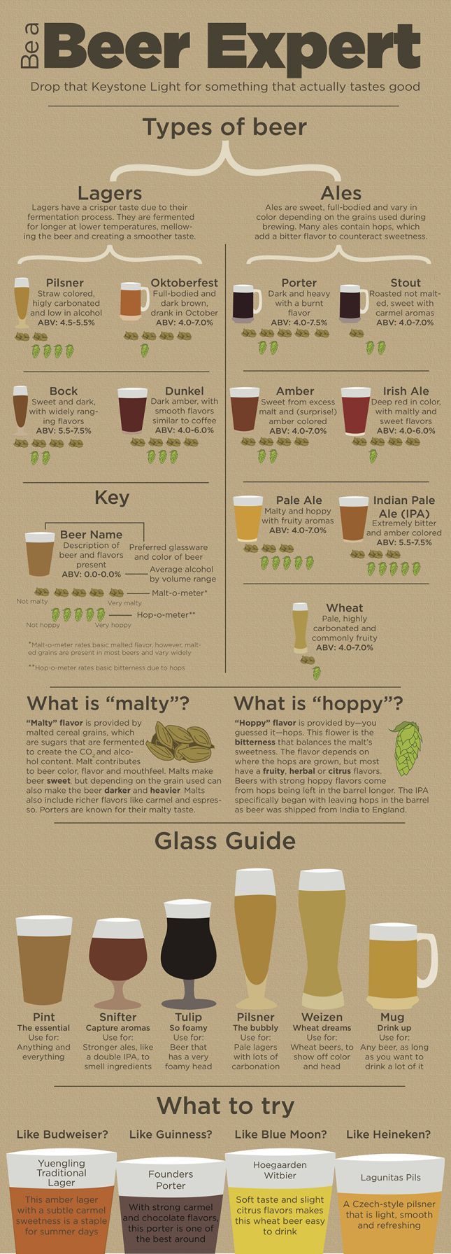 Beer Guide. I don’t really like the beer I’ve had before, maybe this will help me find one I like?