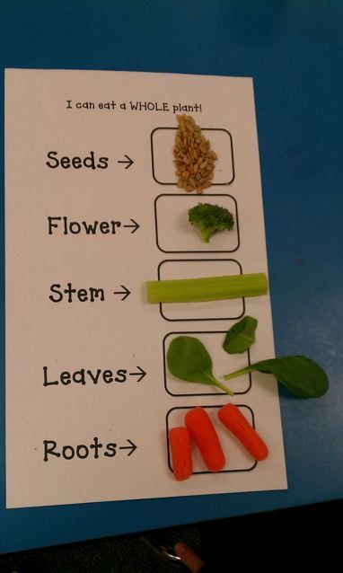 Checkout this great post on Kindergarten Lesson Plans!