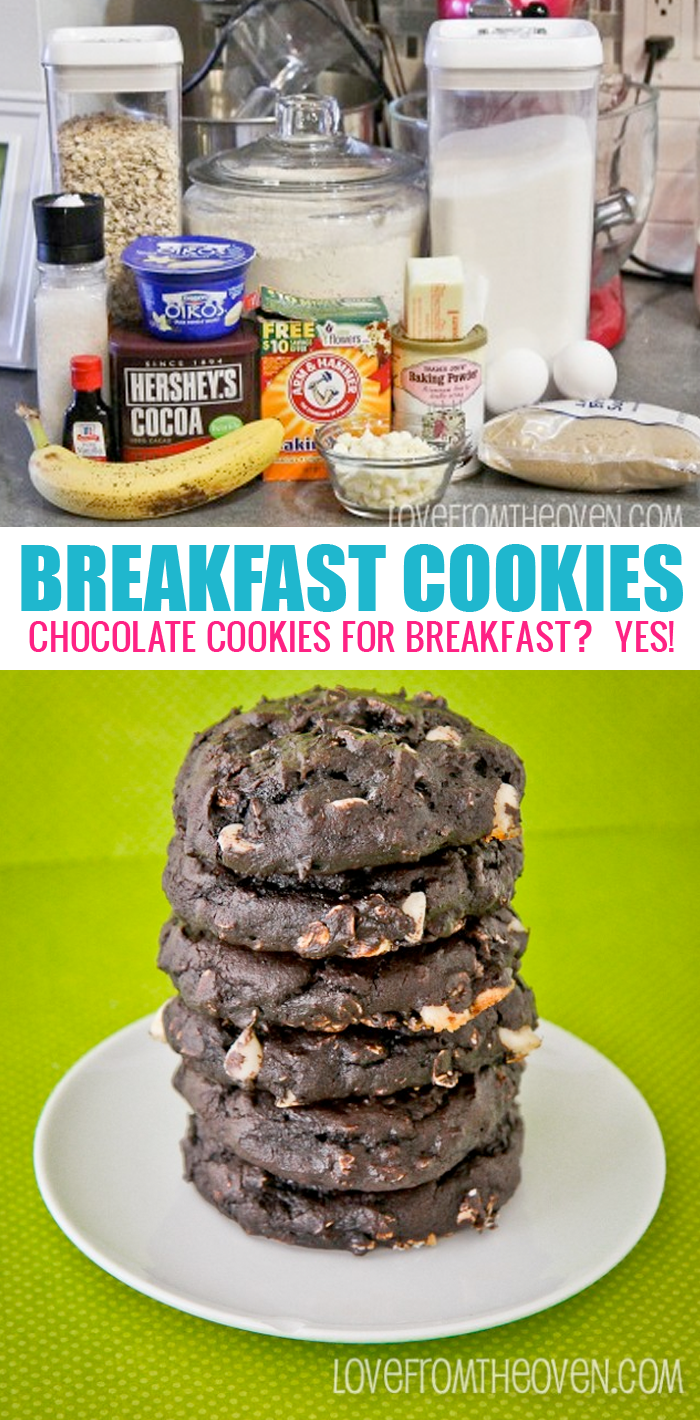 Cookies for breakfast?  You bet with these delicious chocolate cookies.  Similar ingredients to muffins, but so much more fun!
