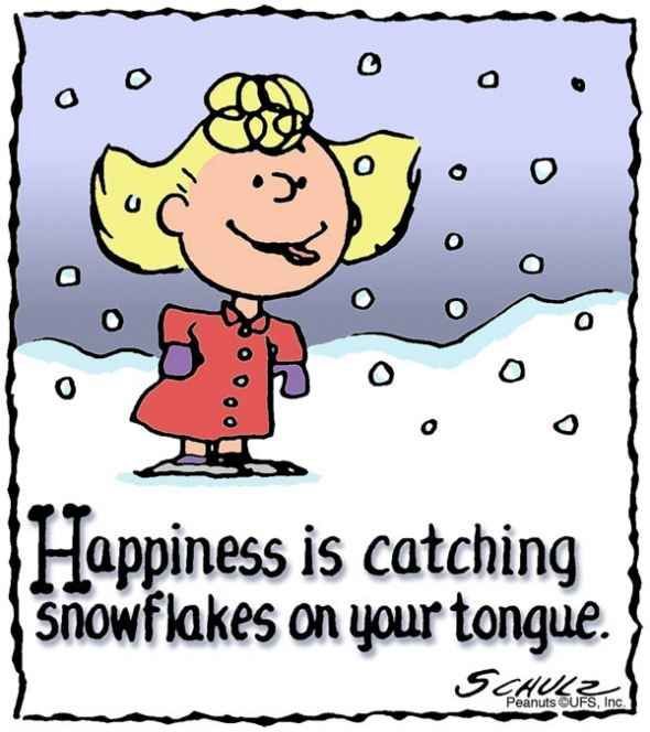 Happiness is catching snowflakes on your tongue. :)