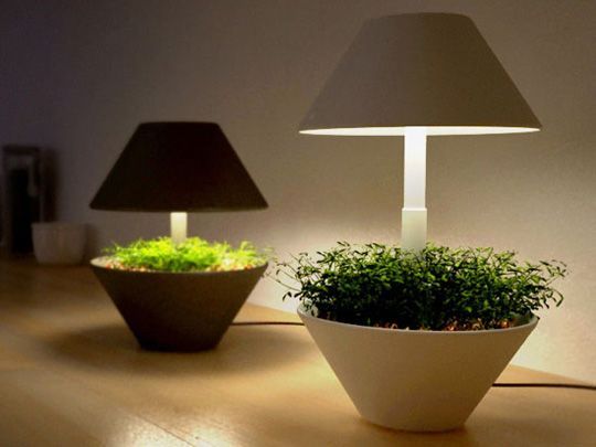 Lightpot. Its a small pot that can be used to grow plants and herbs indoors. The pot uses LED lighting to make sure that the