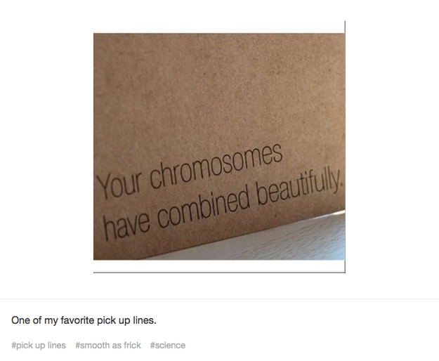 Love how you look in those genes, babe. | 25 Times Tumblr Had The Best Pick Up Lines