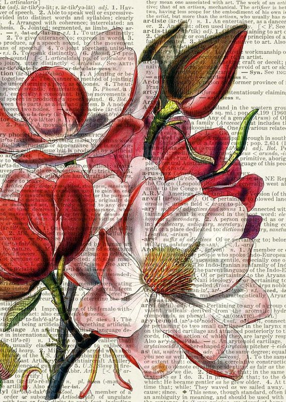 magnolia print, vintage flower artwork on vintage dictionary page, vintage dictionary art print, wall art prints, upcycled book