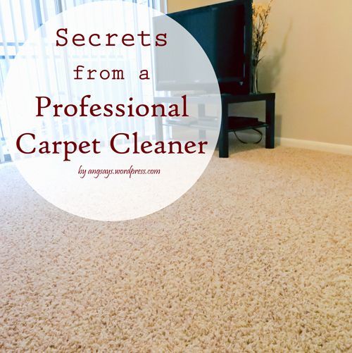 Professional Carpet Cleaning Tips…keep your carpets looking wonderful all year long!