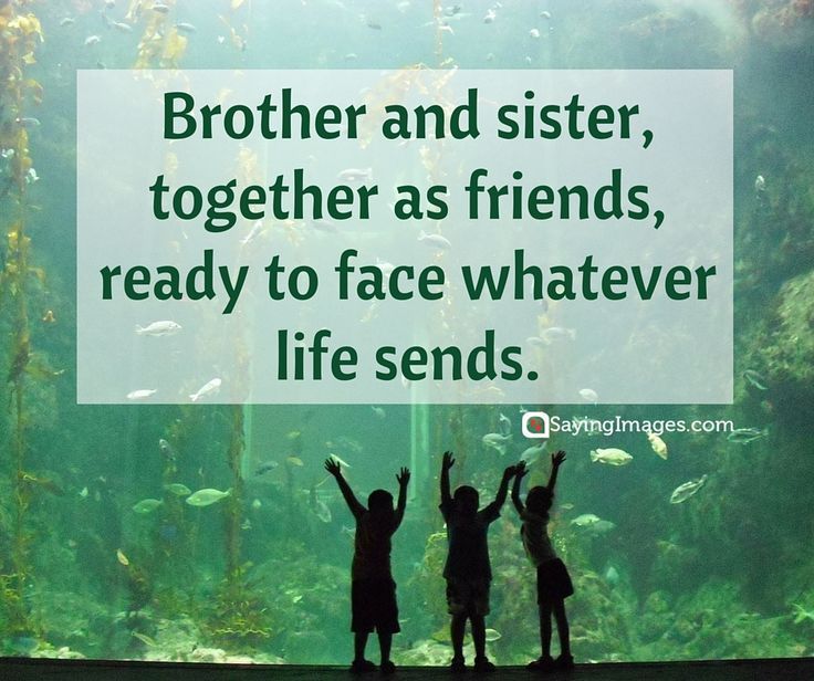 Brother sister quotes, Brother quotes ... -   Awesome brother and sister quotes