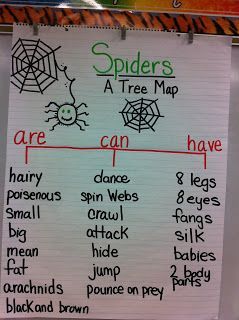 Spider lesson plan ideas – using descriptive words