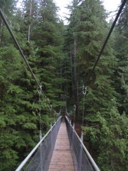 Suspension bridge Drift Creek Falls,Oregon cost near Lincoln City. =0)