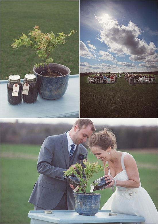 tree planting wedding ceremony