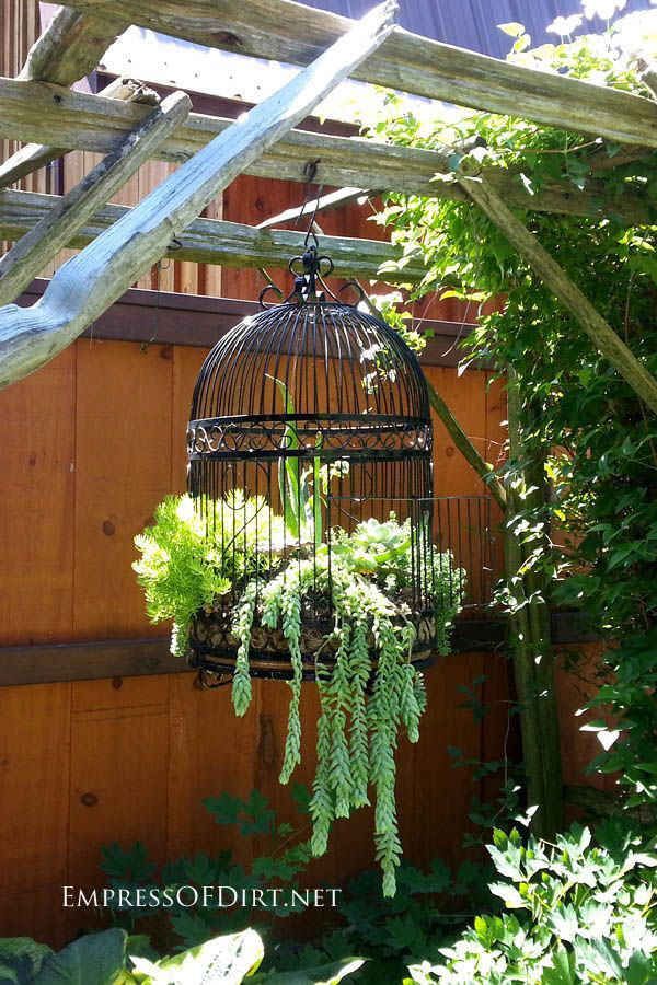 17. Use an old birdcage for a spectacular succulent planter | 17 Charming Garden Art DIYs