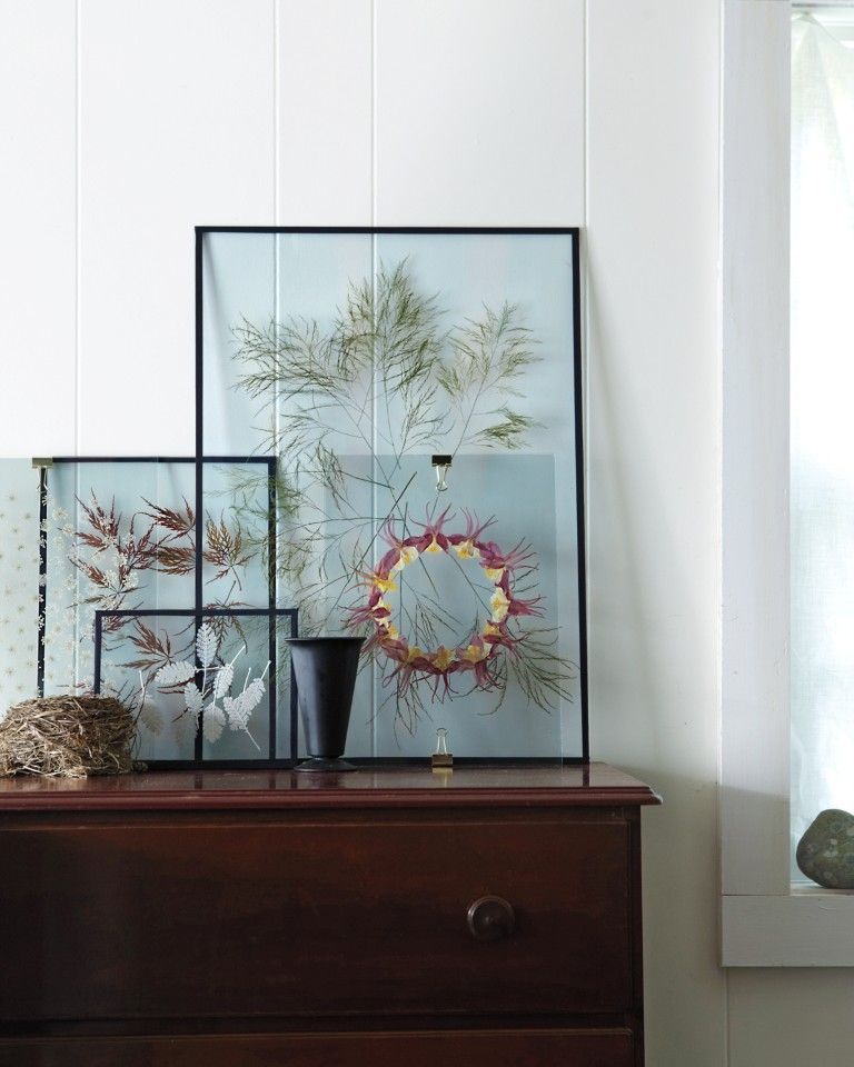 A Modern Way to Display Pressed Botanicals. Start by gathering some dried flowers or leaves. Next gather 2 clear panes of glass