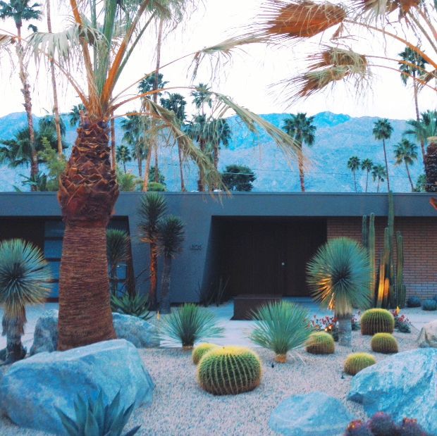 Cactus Garden and mid-century modern home in Palm Springs