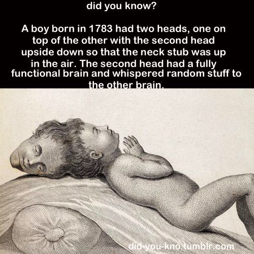 Fun and interesting facts you probably didn’t know