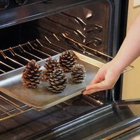 How to Make Cinnamon Scented Pinecones | eHow