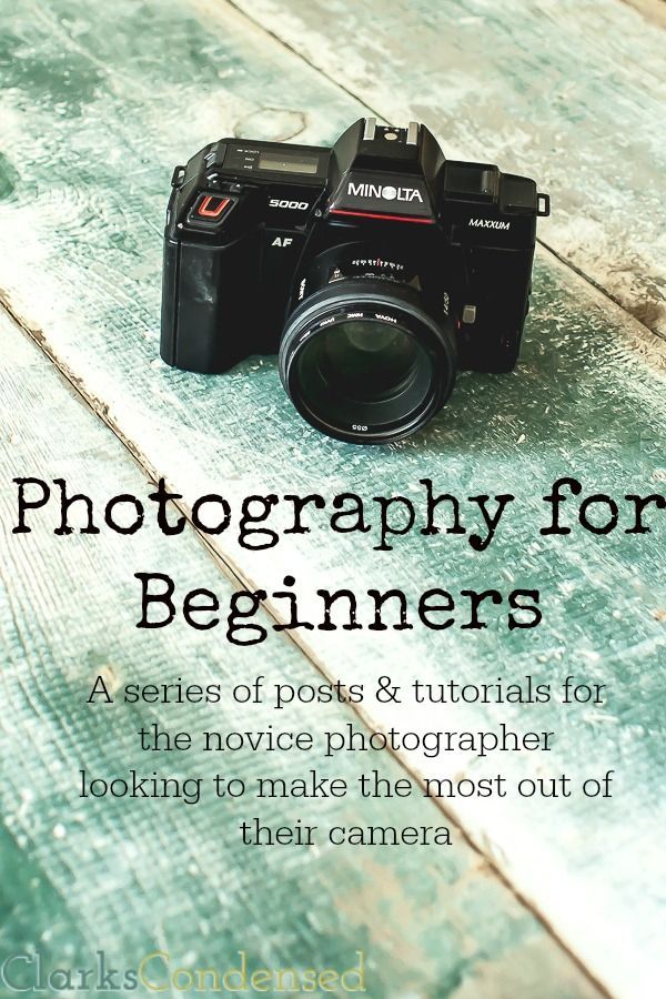 Photography for Beginners: A series of posts to help you take better pictures! #ClarksCondensed