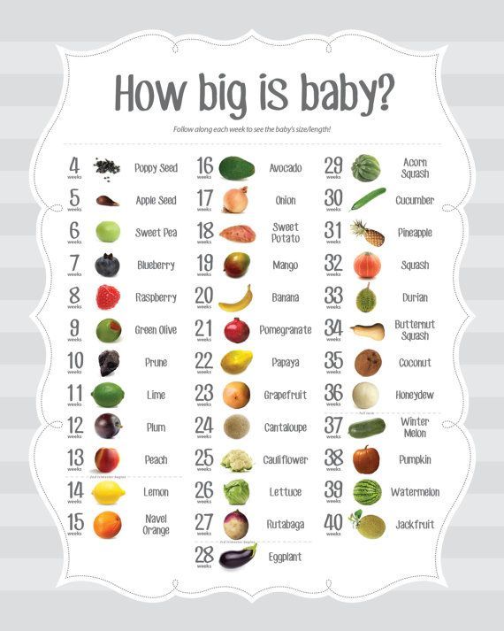 Pregnancy Poster with Weekly Food Size Comparison by AndreaArch, $15.00