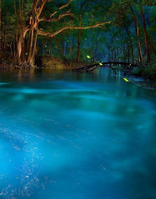 This natural spring looks like something out of a dream. But it’s real & you can visit it right here in the USA…
