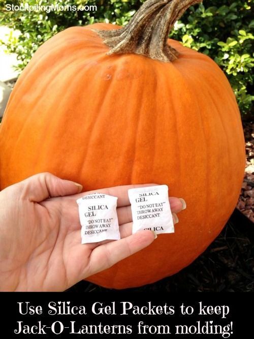 use silica Get Packets to keep Jack O Lanterns
