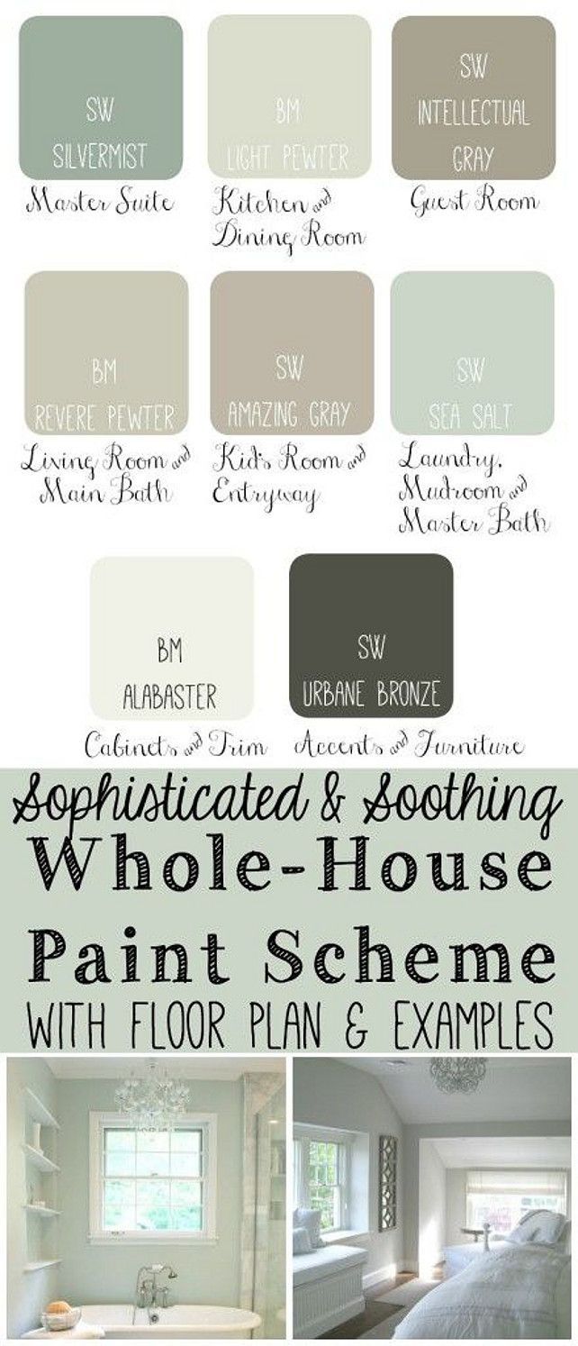 Whole House Paint Scheme s: Master Bedroom: SW Silvermist. Kitchen and Dining Room: BM Light Pewter. Guest Bedroom: SW
