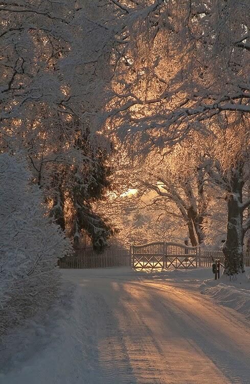 winter wonderland; I’m not the biggest fan of snow, but it does have a quiet beauty that no other element of nature has, in my