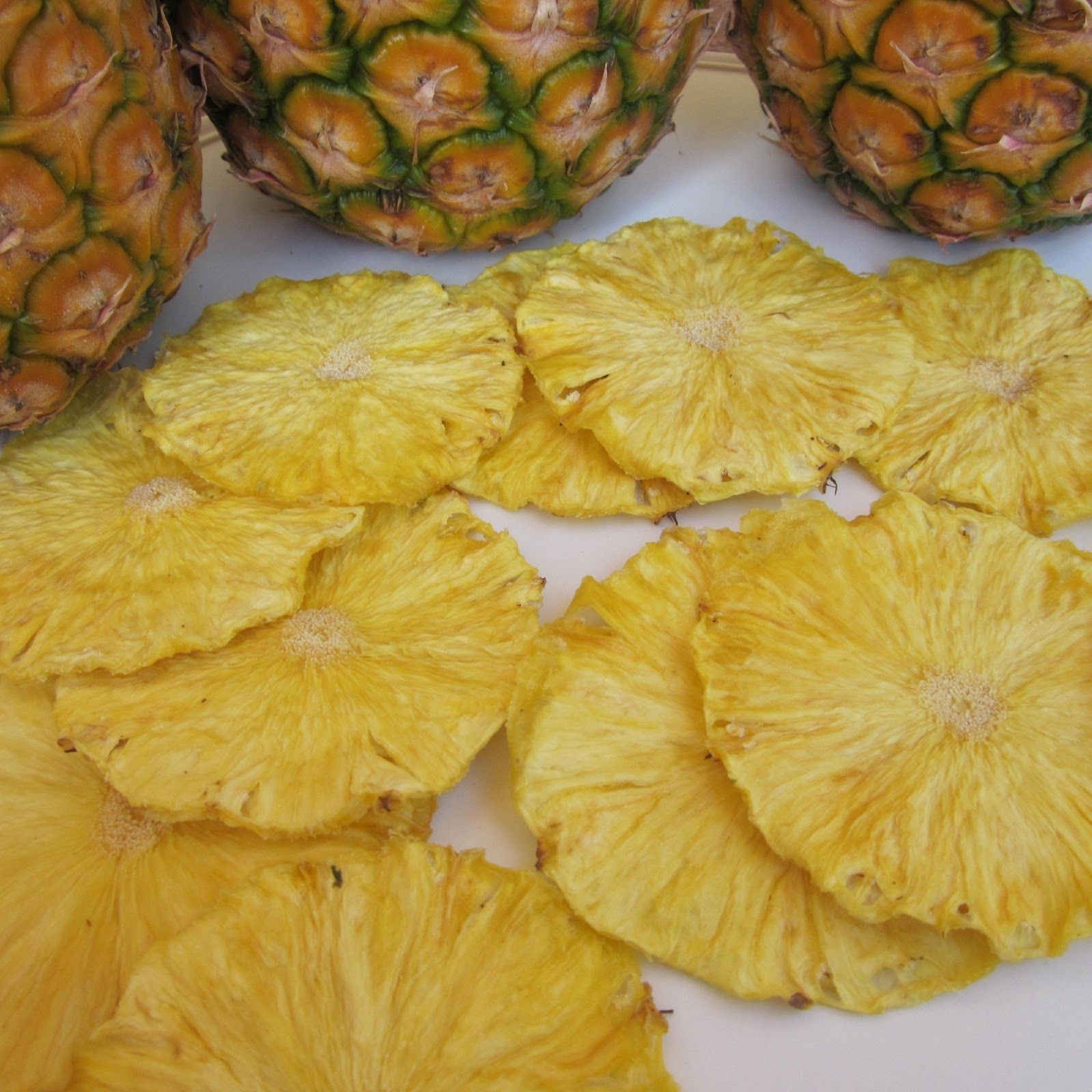 101 Dehydrator Recipes: Pineapple Candy Chips | Nourishing Treasures