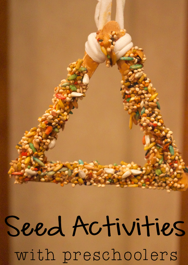 3 fun activities with seeds for you to do with your preschoolers. Build pre-writing skills while doing crafts.