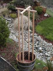 Add a trellis to your barrel planter to support clematis or pole beans. Get the DIY from The RunnerDuck