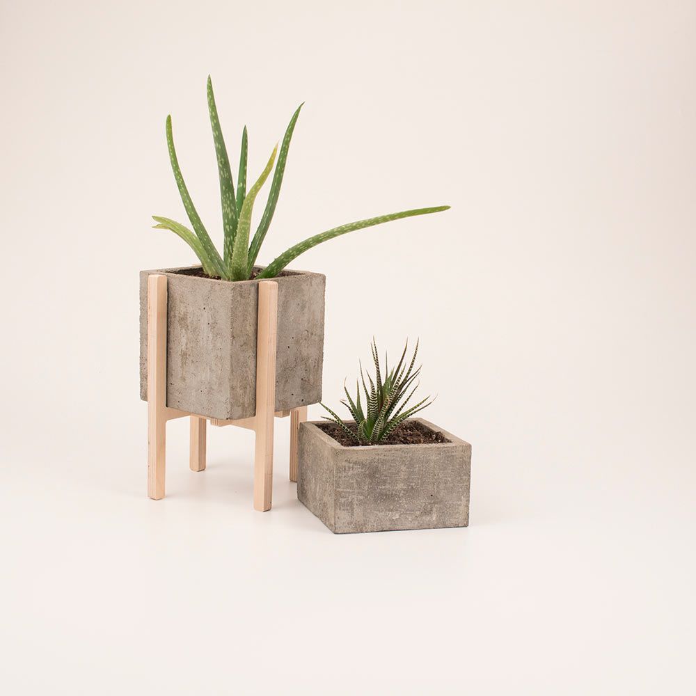 Concrescence: Modern Concrete & Wood Planters