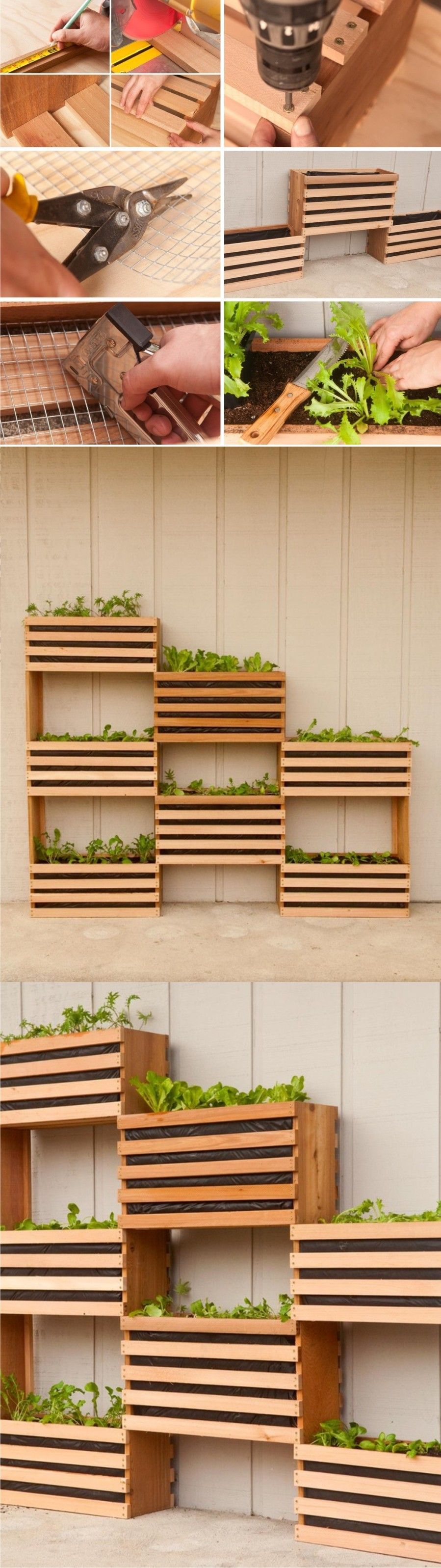Excellent idea for indoor garden. Space-Saving Vertical Vegetable Garden