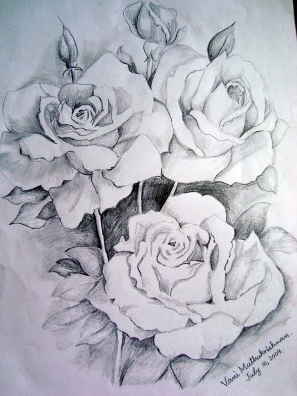 flower drawings | Thanks to GRAPHITE PENCIL DRAWINGS BY SUZANNE SCHAEFER