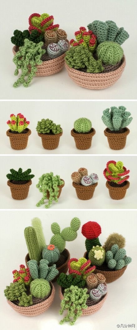 Mini cactus amigurumitry to make them, they look so cute!