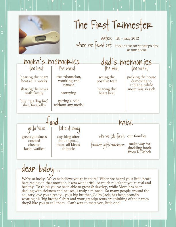 simple pregnancy journal.  summary of each trimester.