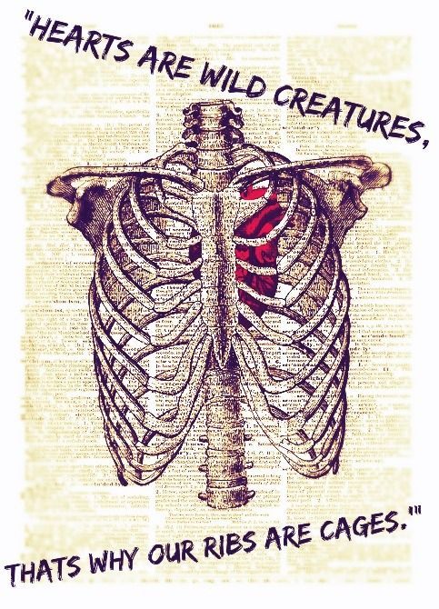 “The human heart is the most deceitful of all things, and desperately wicked. Who really knows how bad it is? But I, the Lord,