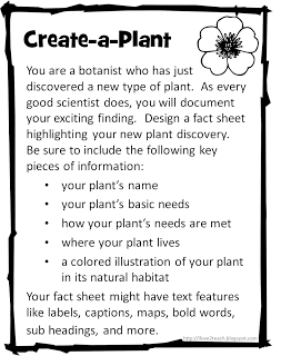 This is the actual pin of what I am doing for the plant unit for 3rd grade. It is originally for 2nd, but I am changing it up a