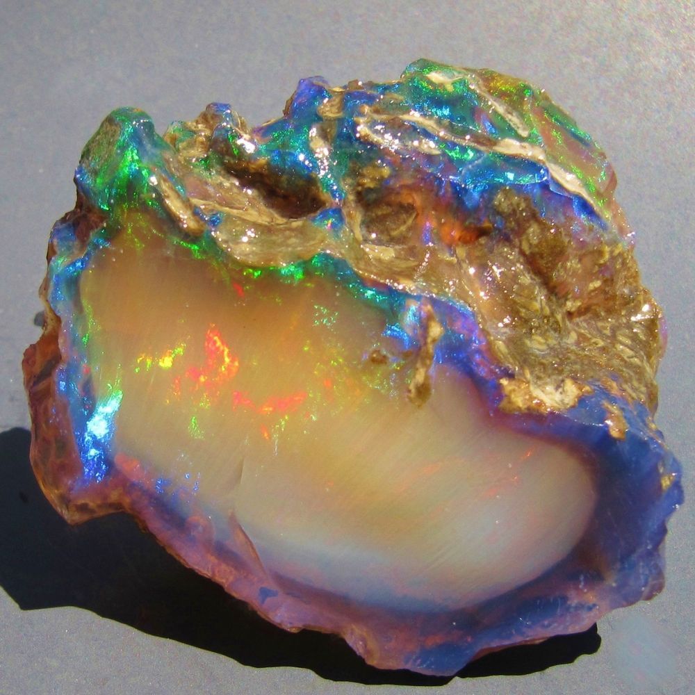 *68mm* Mineral! RARE Fossil Wood PRECIOUS OPAL Crystal - Virgin Valley, Nevada / Mineral Friends ♥