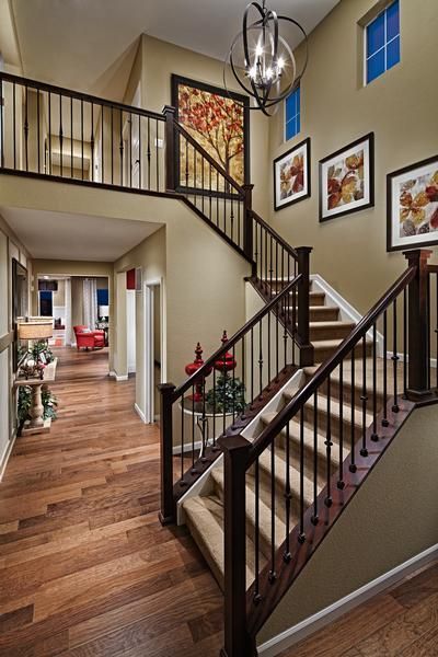 Choose from five distinctive floor plans, including a single-story ranch-style home and four spacious two-story residences. Living