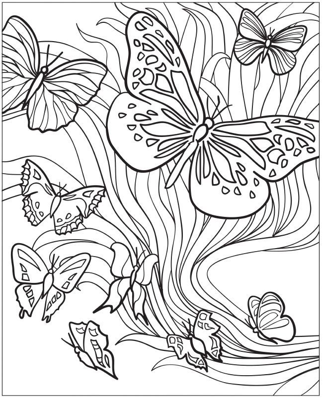 Creative Haven Beautiful Butterfly Designs Coloring Book